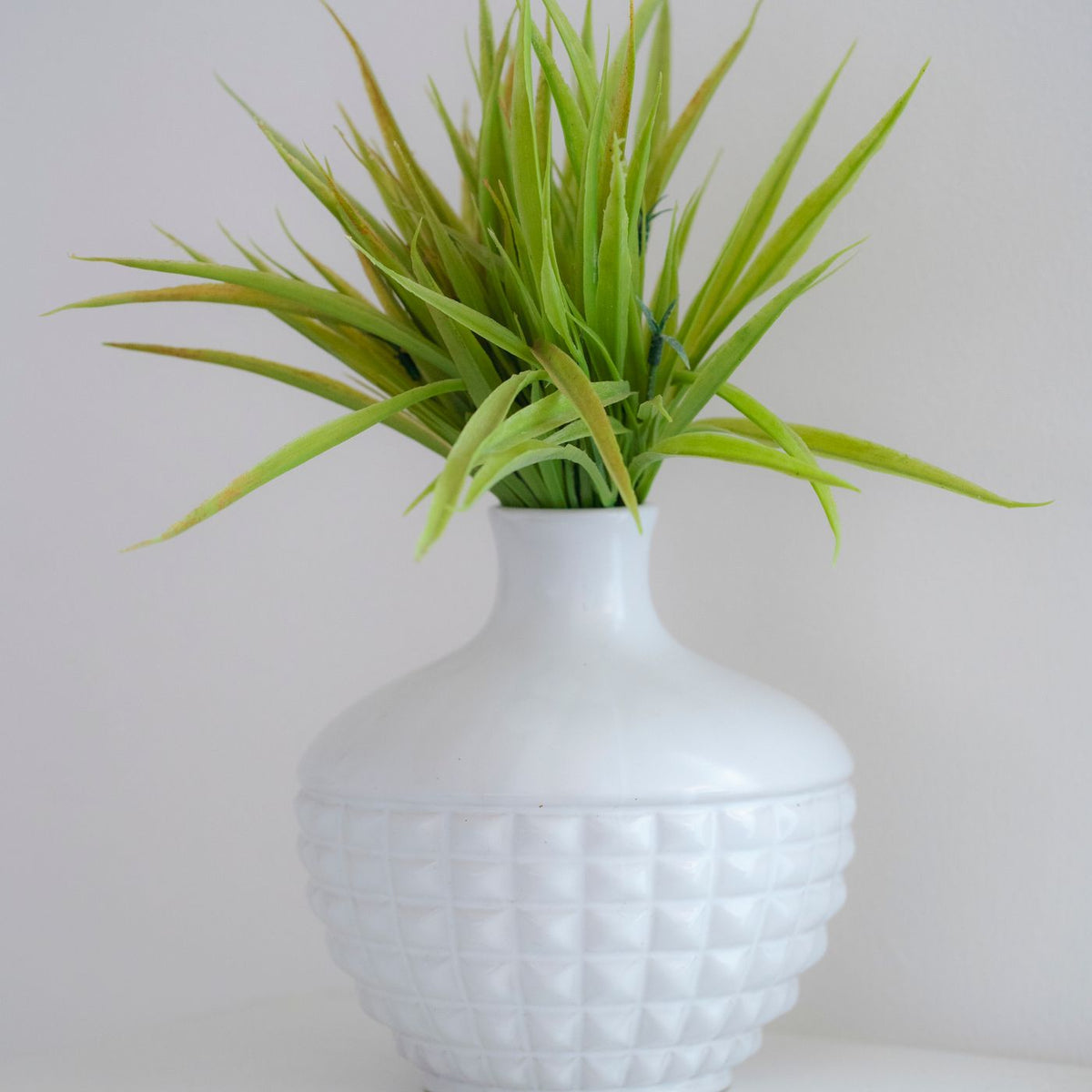 A simple white vase holding a single green plant.